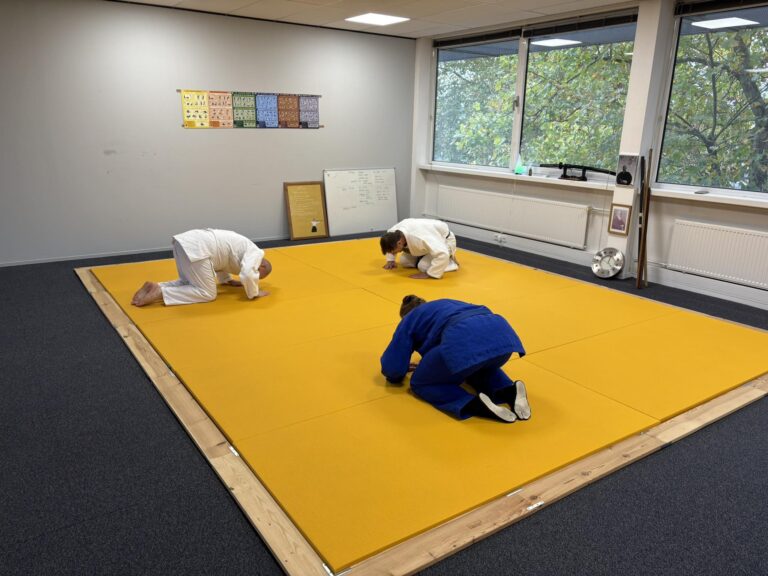 Judolessen zijn begonnen